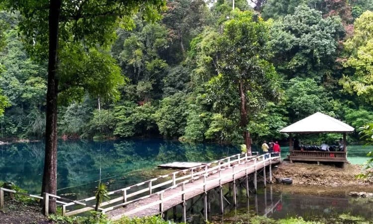 Ini aku coba bikin kegiatan ke 2