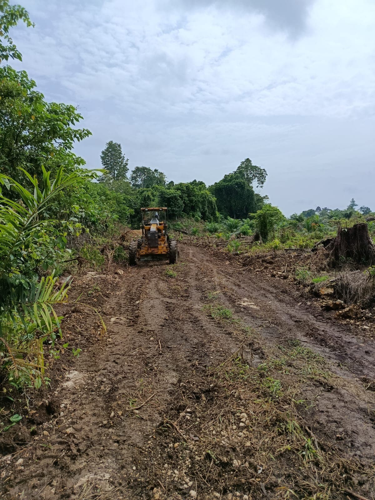 66fa1752-aa7c-4020-8592-0091999647e4